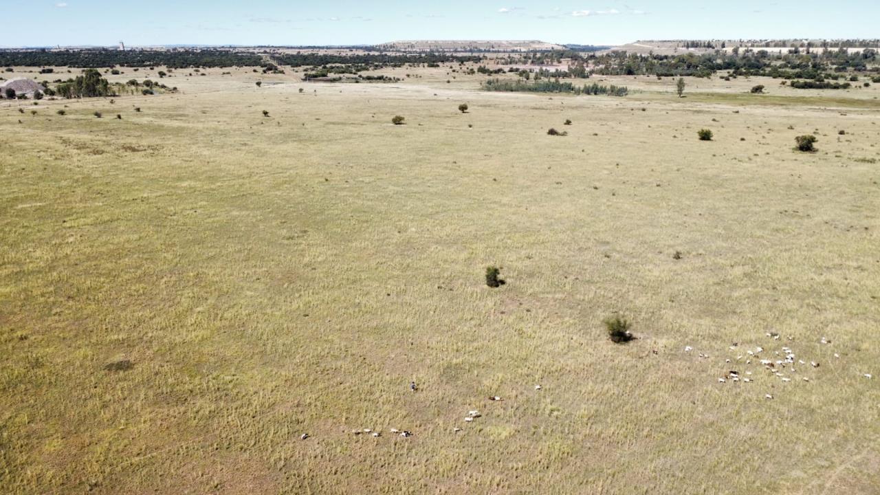 Farm