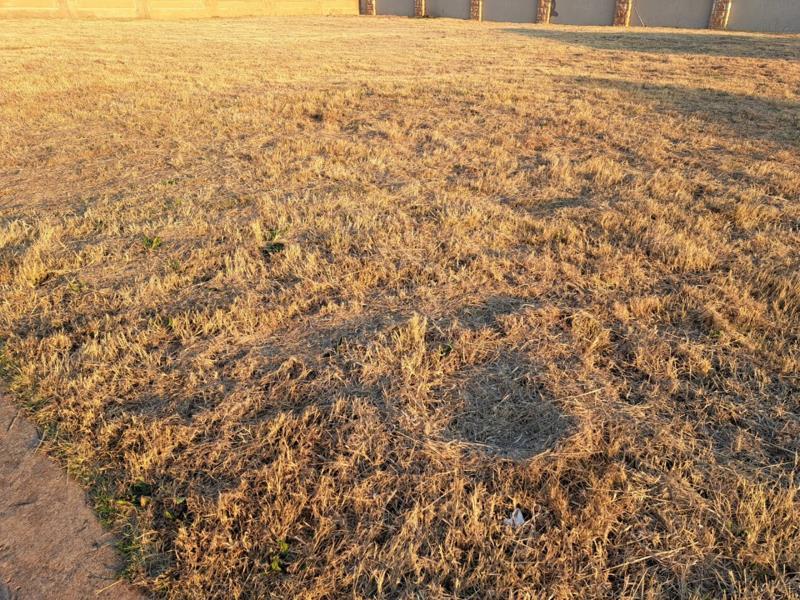 Vacant Land