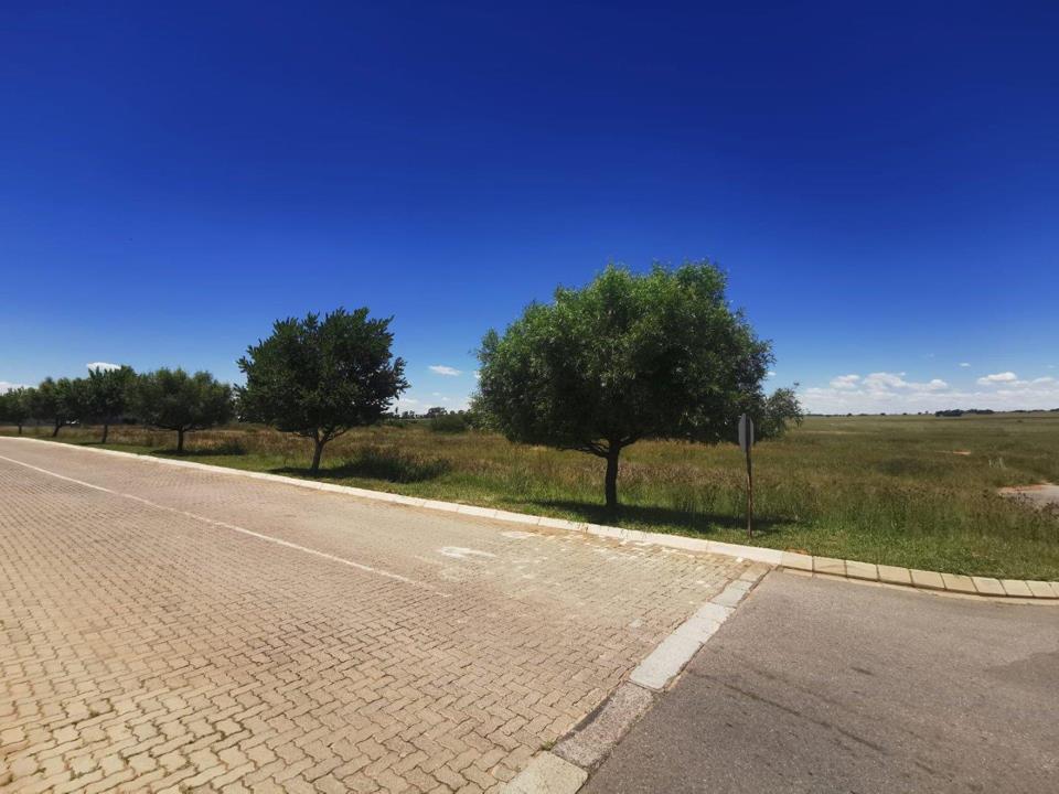 Vacant Land